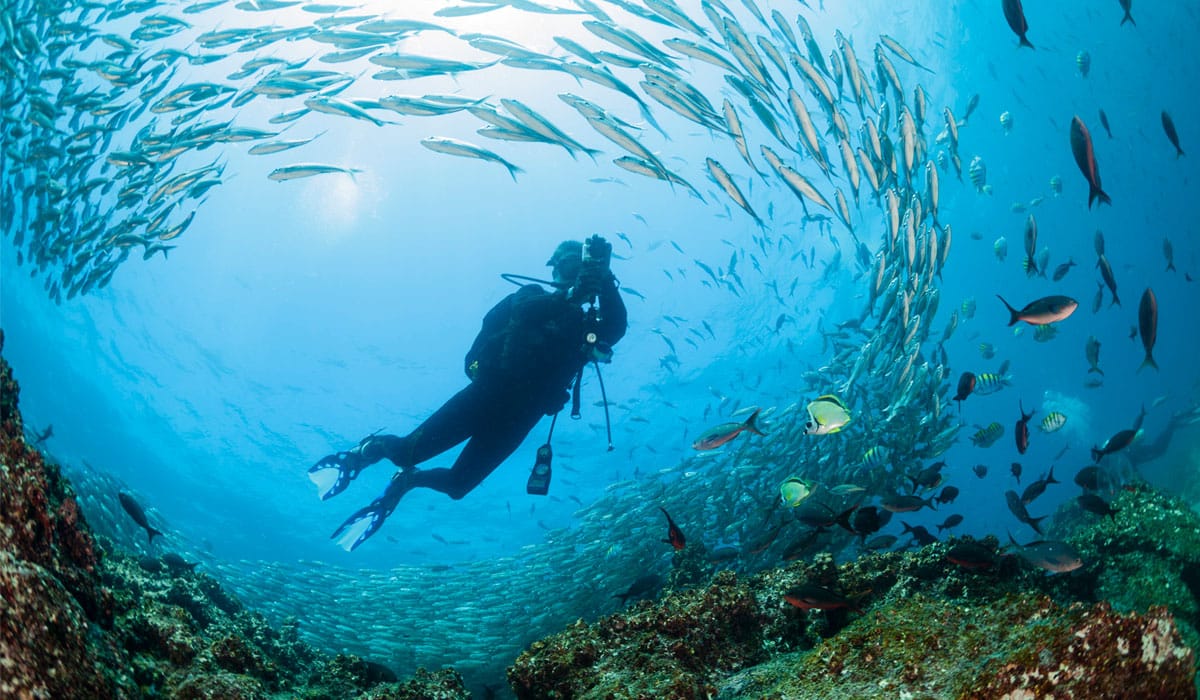 galapagos diving