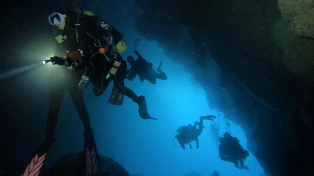 Scuba Diving in the Galapagos Islands